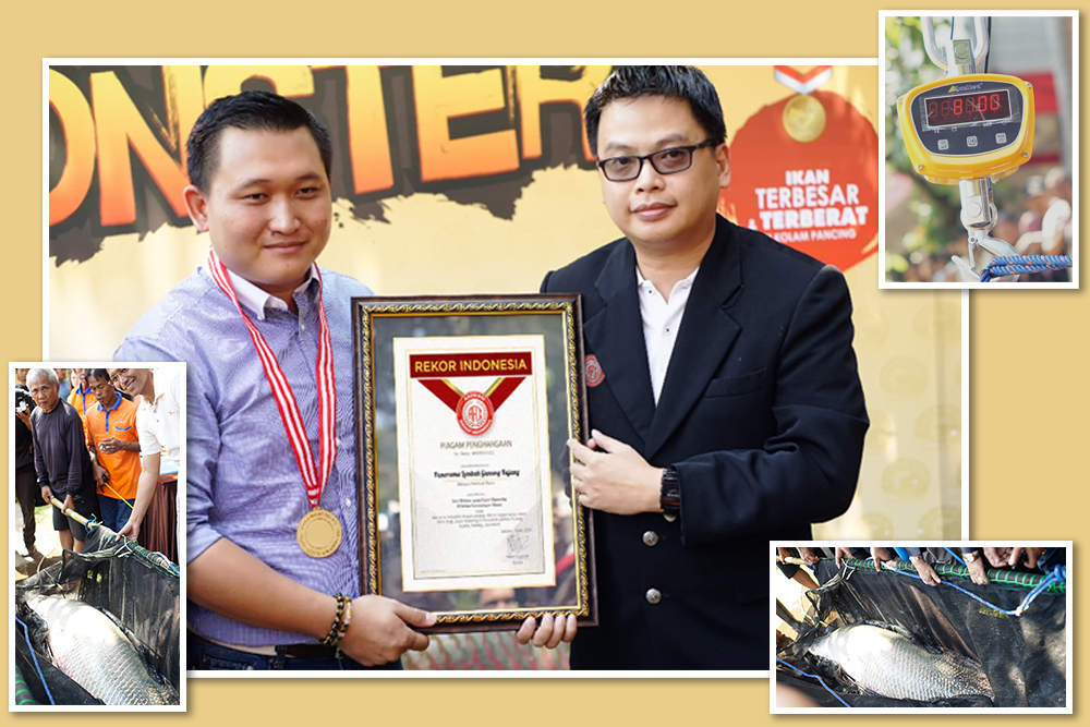 Kolam Pemancingan dengan Koleksi Ikan Terbesar